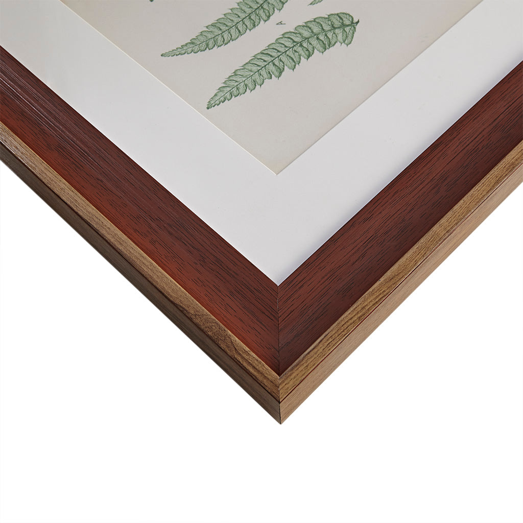 Botanical Illustration 3-piece Framed Glass and Single Matted Wall Art Set