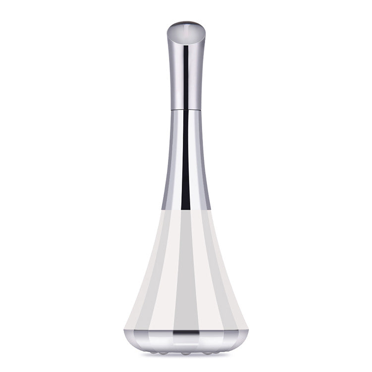 Small top facial beauty instrument